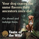 Taste of the Wild High Prairie Canine INTL 12.2kg
