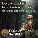 Taste of the Wild High Prairie Puppy INTL 2kg