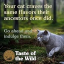 Taste of the Wild Canyon River Feline 2kg