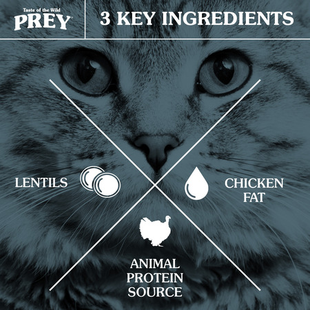 Taste of the Wild PREY Turkey Cat 2.72kg