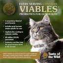 Taste of the Wild Lowland Creek Feline INTL 2kg