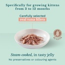 Schesir Kitten Cat Pouch - Tuna Recipe for Kittens 3-12 Months - 85g