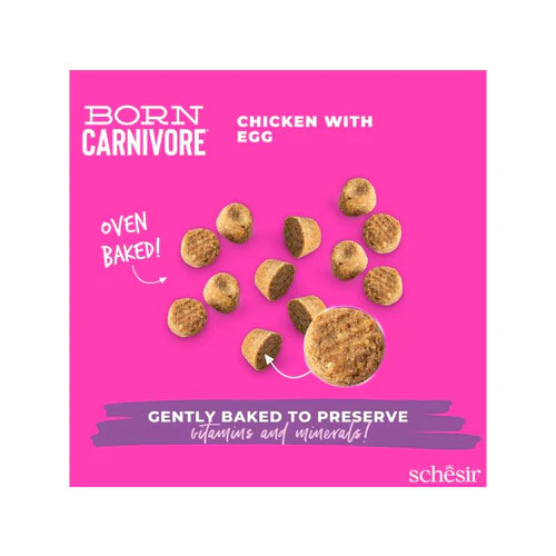 Schesir Born Carnivore Dry Kitten Food - Chicken & Egg -Bag 255g