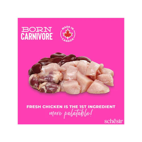 Schesir Born Carnivore Dry Kitten Food - Chicken & Egg -Bag 255g