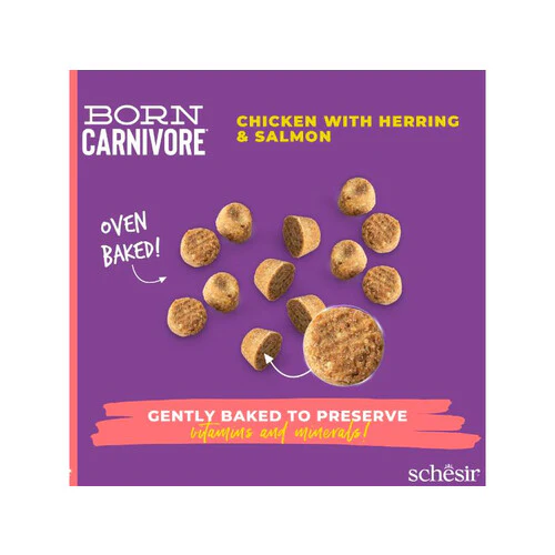 Schesir Born Carnivore Dry Cat Food - Chicken & Herring -Bag 255g