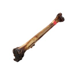 Natural Protein Ostrich Mini Caveman Bones – Dog Chew Treats (0.970g) -1kg